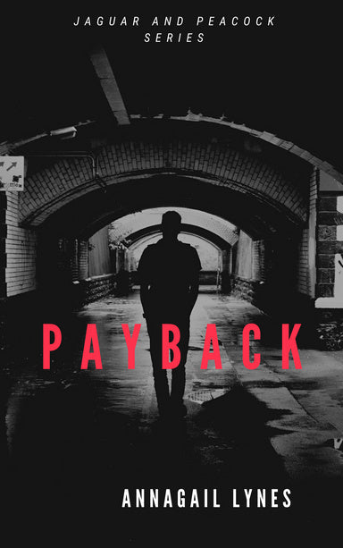 Payback Novel  - Paperback